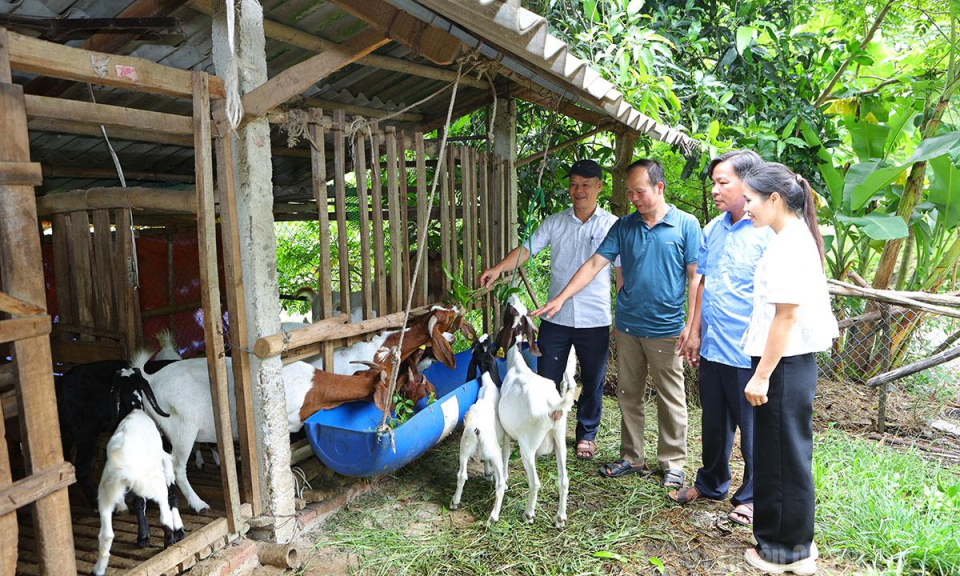 Người c&oacute; uy t&iacute;n: "C&aacute;nh tay nối d&agrave;i" ở Trường Sinh