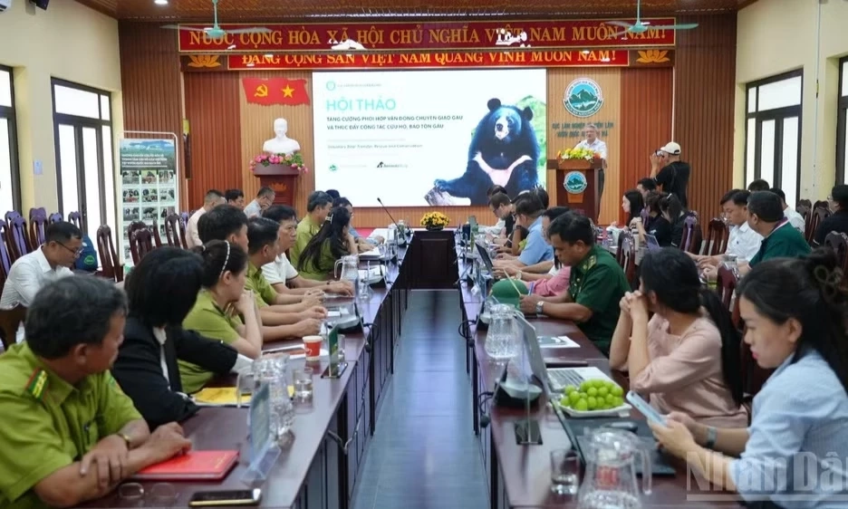 Chấm dứt nu&ocirc;i nhốt gấu: Cần thay đổi c&aacute;ch vận động, kh&ocirc;ng thể chỉ tr&ocirc;ng chờ kinh ph&iacute;