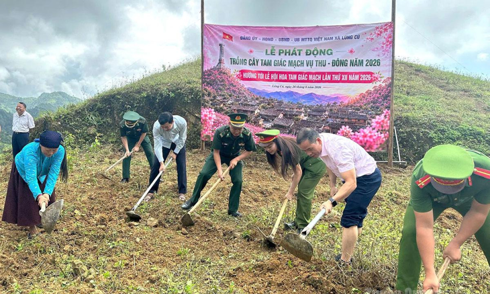 X&atilde; Lũng C&uacute; ph&aacute;t động trồng hoa Tam gi&aacute;c mạch phục vụ Lễ hội