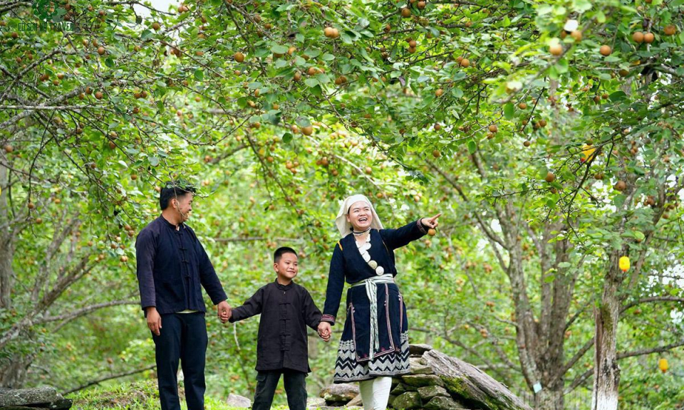 Sẵn s&agrave;ng đ&oacute;n kh&aacute;ch du lịch