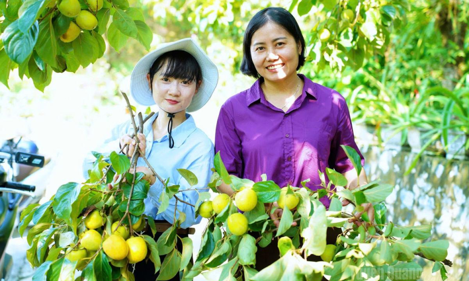 M&ugrave;a hồng dưới ch&acirc;n n&uacute;i Độc