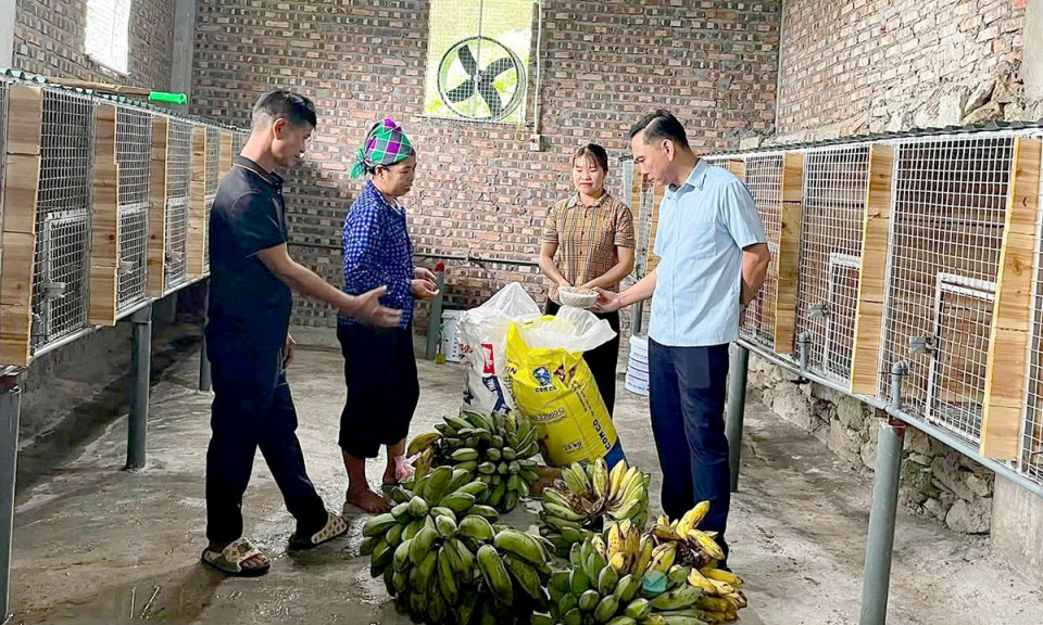 S&aacute;t cơ sở để hiểu d&acirc;n, hiểu việc