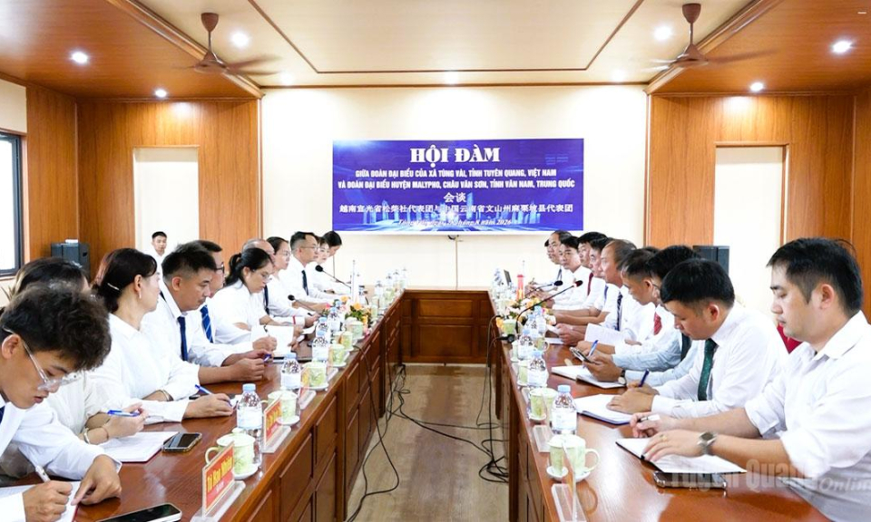 Hợp t&aacute;c ph&aacute;t triển c&acirc;y ch&egrave; giữa T&ugrave;ng V&agrave;i v&agrave; huyện Malypho
