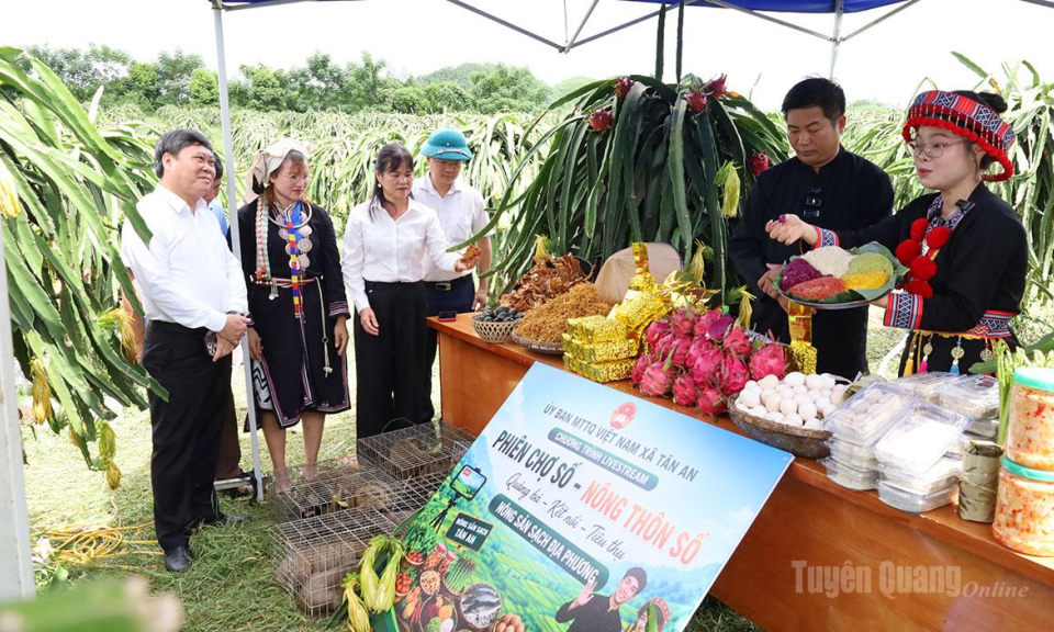 T&acirc;n An ra mắt &ldquo;C&acirc;u lạc bộ Thanh ni&ecirc;n số&rdquo;, &ldquo;Tổ hội N&ocirc;ng d&acirc;n số&rdquo;