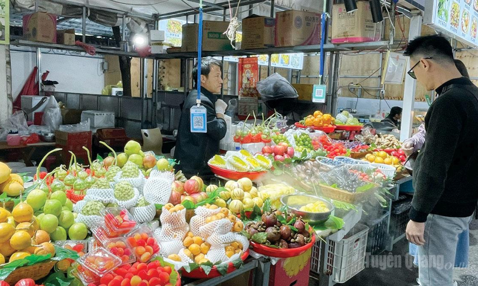 Giống người sớm mai