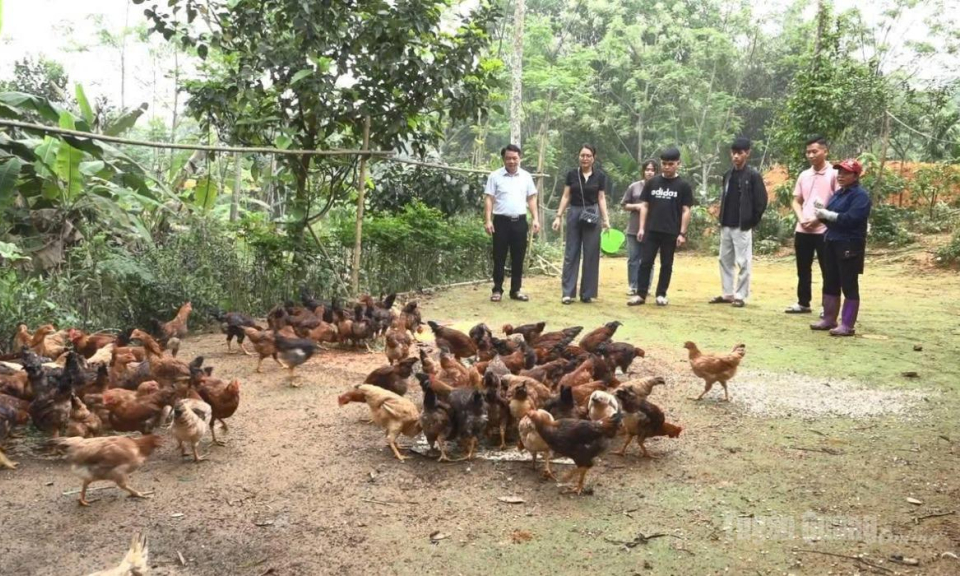 X&atilde; H&ugrave;ng An tăng cường c&ocirc;ng t&aacute;c truyền th&ocirc;ng giảm ngh&egrave;o