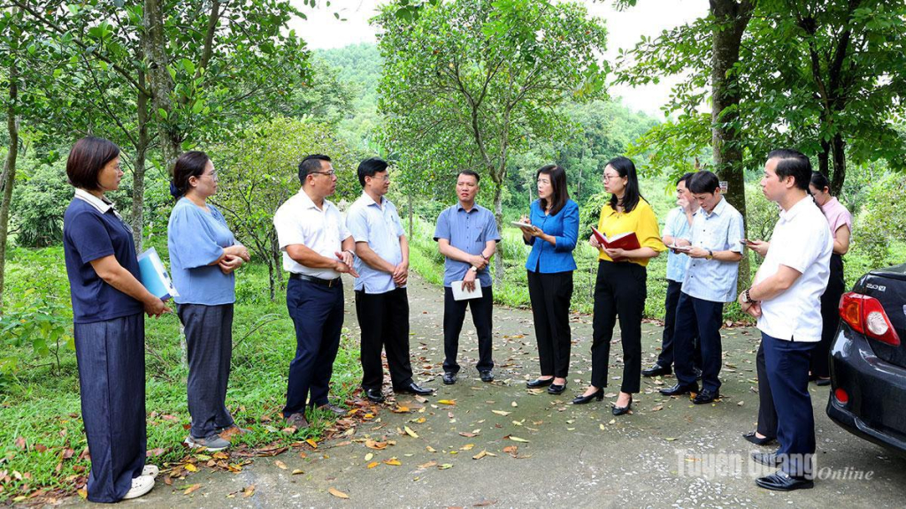 Thường trực Hội đồng nhân dân tỉnh giám sát việc thực hiện các quy định của pháp luật về quản lý, sử dụng đất và  giao đất, cho thuê đất đối với các tổ chức kinh tế trên địa bàn tỉnh Tuyên Quang giai đoạn 2021 - 2025 tại xã Sơn Thủy.