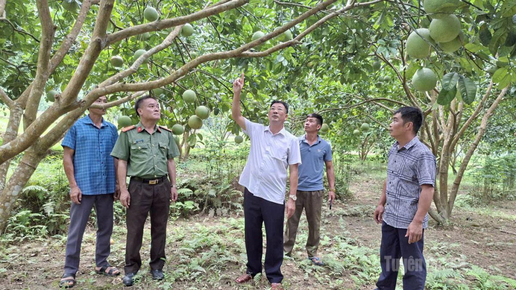Lãnh đạo xã Minh Tân nắm tình hình sản xuất của người dân.