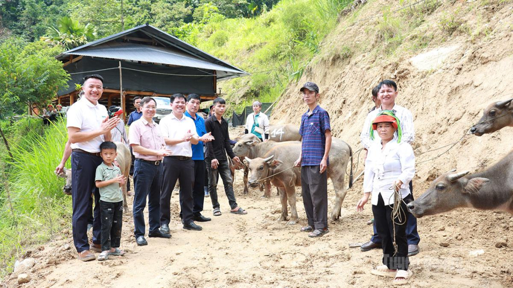 Từ sự kết nối của xã Cao Bồ, 15 hộ nghèo trên địa bàn xã vừa được trao tặng trâu giống.