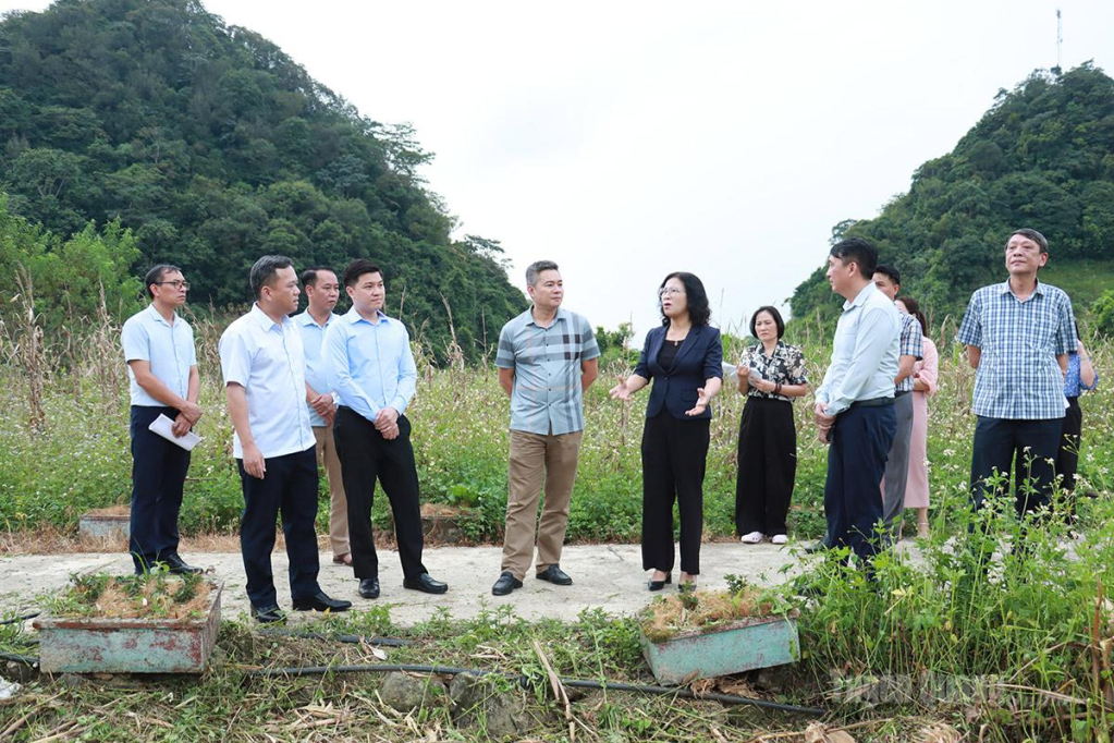 Đồng chí Đỗ Hùng Đức, Phó Chủ tịch UBND tỉnh kiểm tra tiến độ gieo trồng Tam giác mạch tại điểm du lịch Thạch Sơn Thần, xã Quản Bạ.