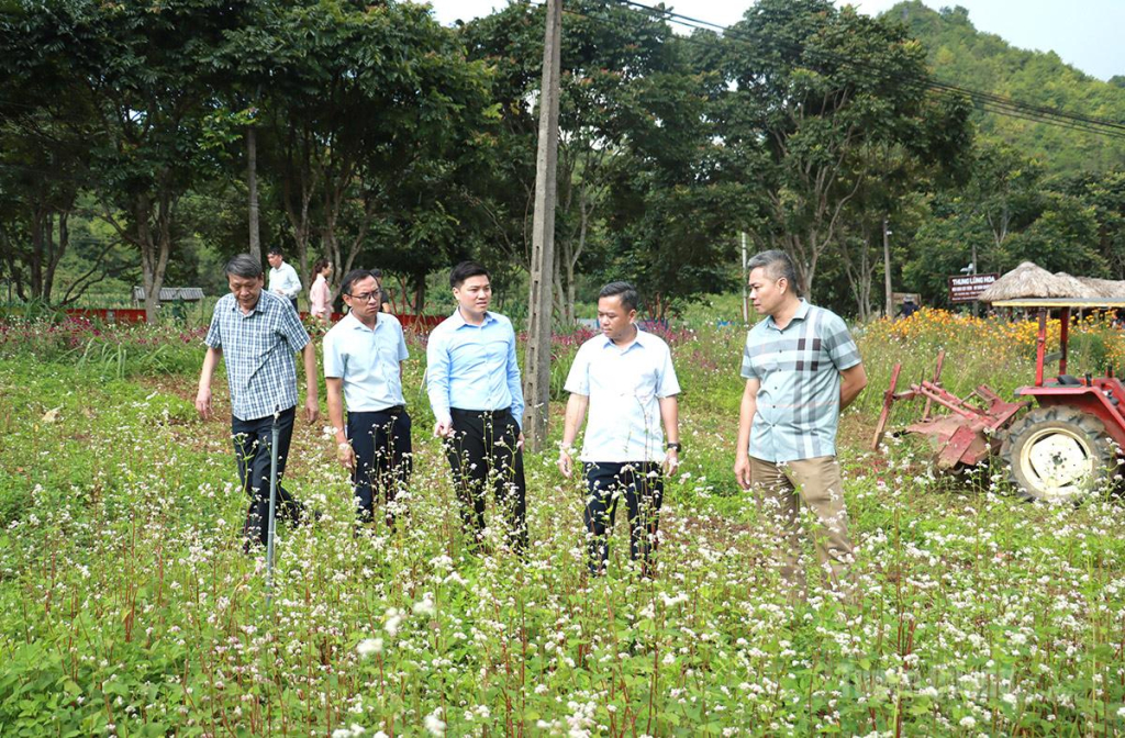 Đồng chí Đỗ Hùng Đức, Phó Chủ tịch UBND tỉnh khảo sát điểm du lịch Thung lũng hoa Núi đôi, xã Quản Bạ.