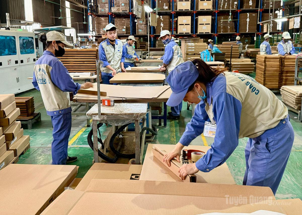 Những sáng kiến kinh nghiệm của đoàn viên, người lao động được áp dụng vào sản xuất tại Công ty cổ phần Woodsland.