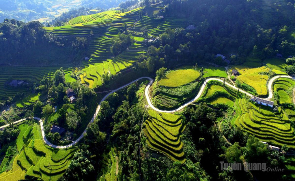 Vẻ đẹp của ruộng bậc thang thôn Tả Sử Choóng xã Nậm Dịch luôn thu hút khách du lịch. Ảnh: Quỳnh Hương