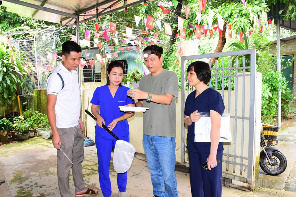 Viện Vệ sinh dịch tễ Trung ương, thu thập mẫu muỗi trưởng thành và bọ gậy Aedes gây bệnh trên địa bàn phường An Tường.