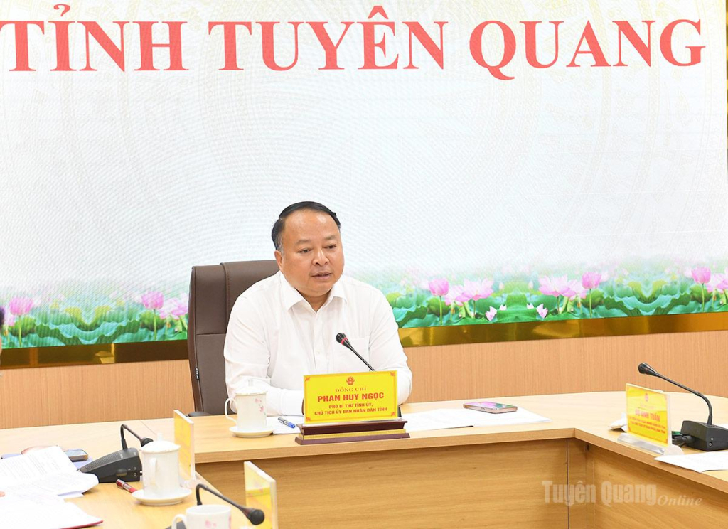 Chủ tịch UBND tỉnh Phan Huy Ngọc phát biểu kết luận cuộc họp.
