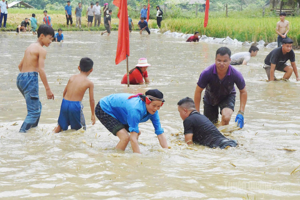 Các đội thi hào hứng tham gia bắt cá.