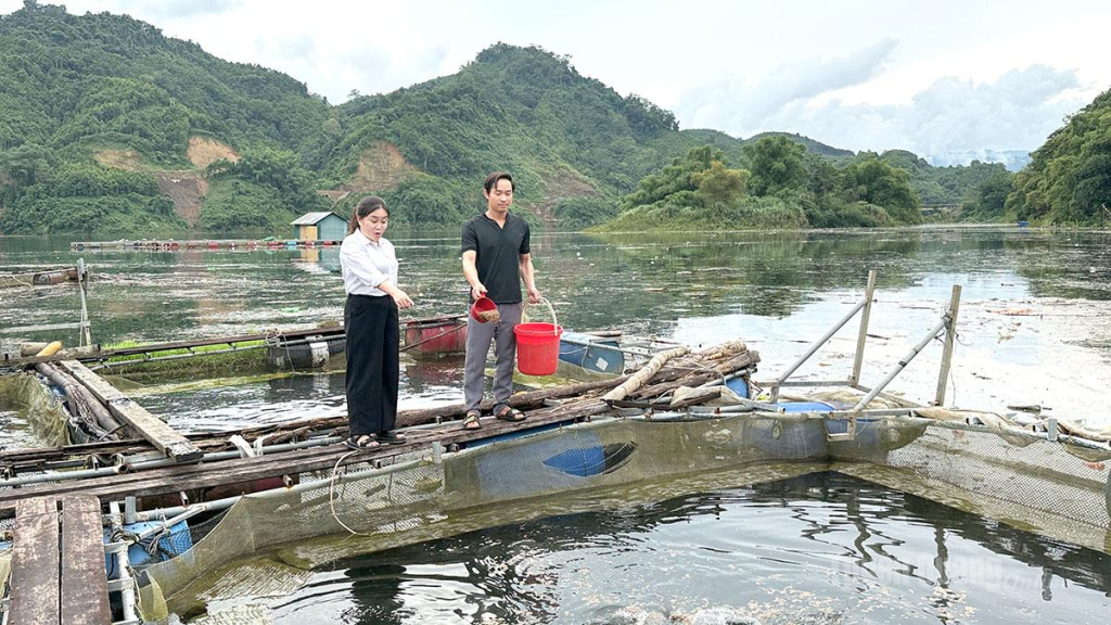 Tận dụng mặt nước của vùng lòng hồ Thụy điện Tuyên Quang, nông dân xã Hồng Thái đã phát triển nuôi cá lồng, mang lại giá trị kinh tế cao.