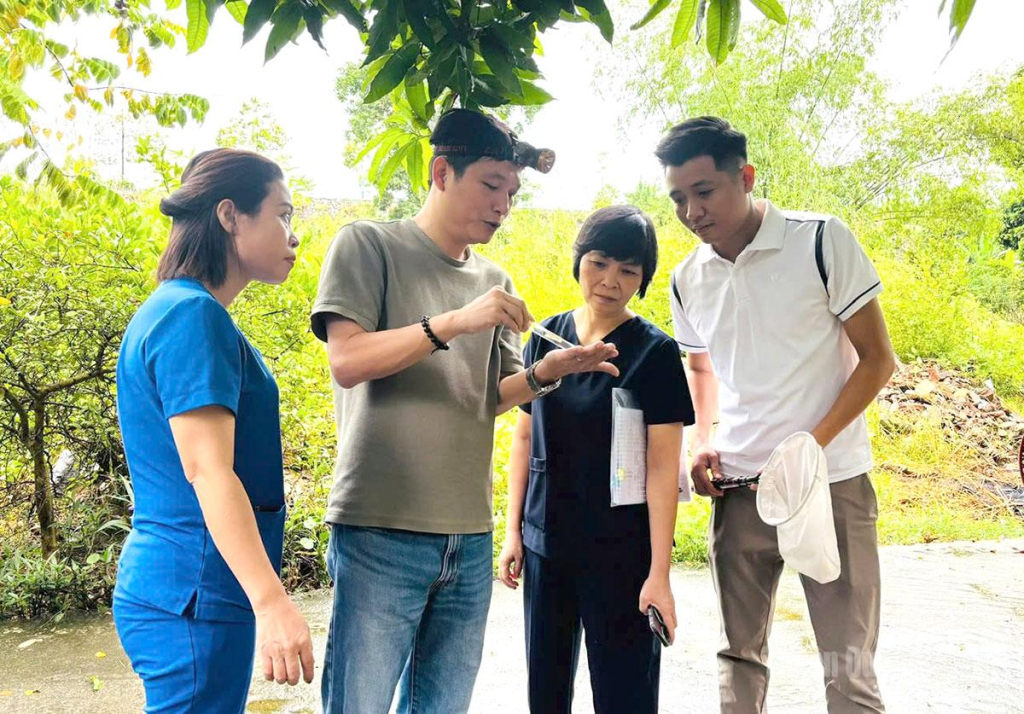 Cán bộ y tế giám sát véc tơ truyền bệnh Sốt xuất huyết tại phường An Tường.