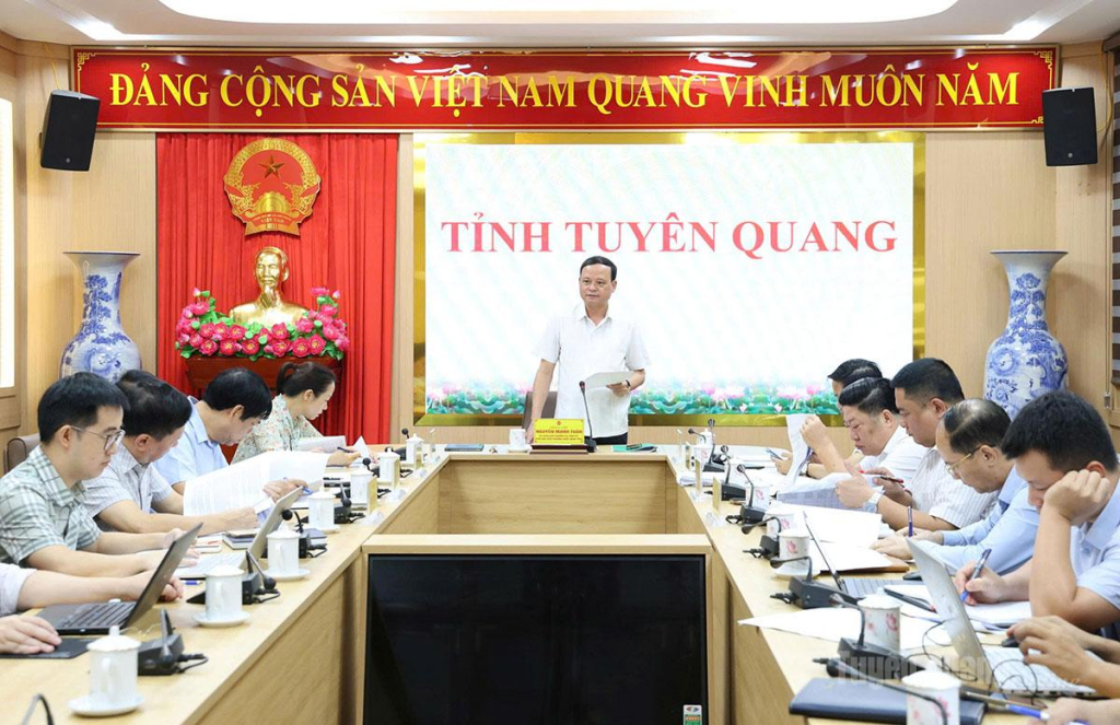 Đồng chí Phó Chủ tịch Thường trực UBND tỉnh Nguyễn Mạnh Tuấn phát biểu chỉ đạo tại cuộc họp.