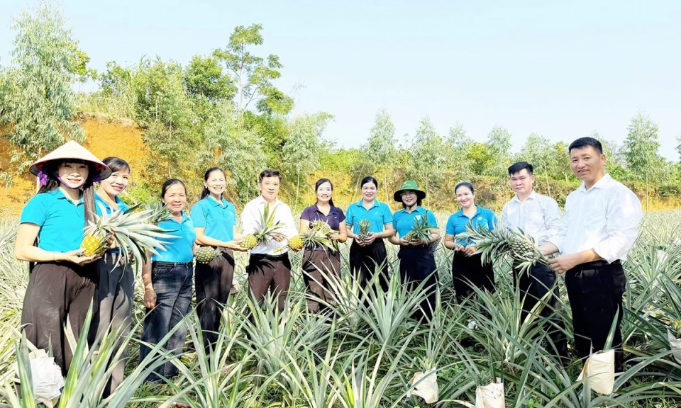 Nh&acirc;n rộng c&aacute;nh đồng dứa