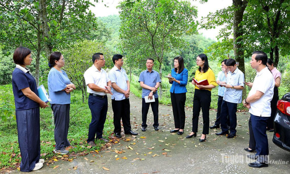 Thực h&agrave;nh gần d&acirc;n theo phương ph&aacute;p Hồ Ch&iacute; Minh