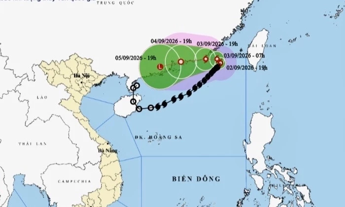 B&atilde;o số 5 khi n&agrave;o suy yếu?