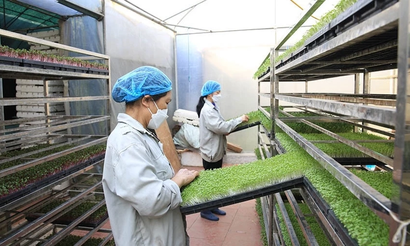 Xanh h&oacute;a nền kinh tế, mở dư địa tăng trưởng