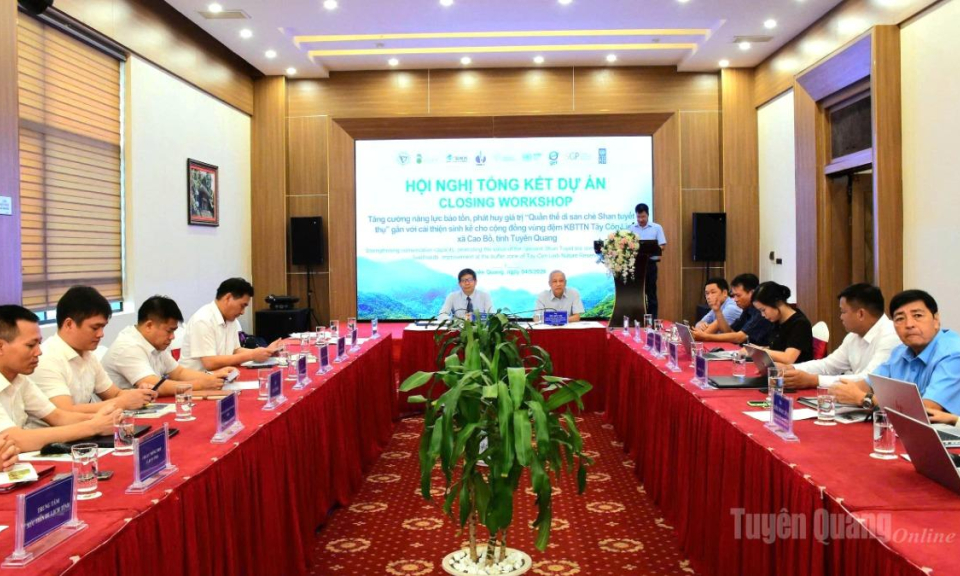 Tổng kết dự &aacute;n bảo tồn quần thể di sản ch&egrave; Shan tuyết cổ thụ T&acirc;y C&ocirc;n Lĩnh