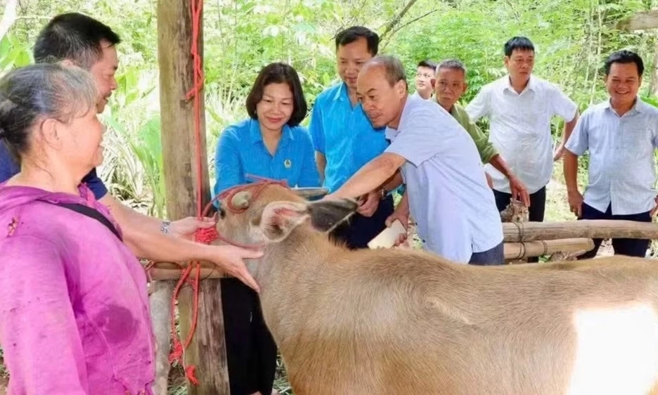 Thiết thực hỗ trợ sinh kế cho hộ ngh&egrave;o, hộ cận ngh&egrave;o