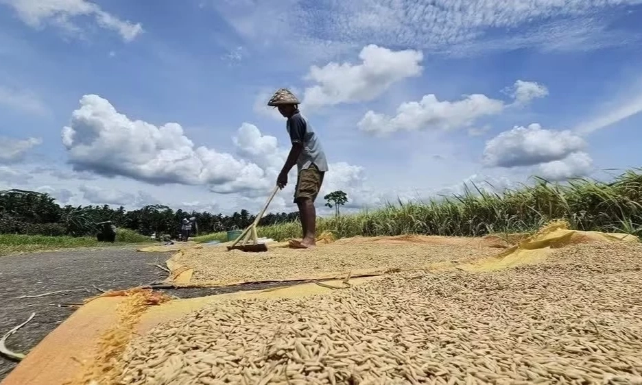 Hiện tượng El Nino mạnh l&ecirc;n nhanh ch&oacute;ng