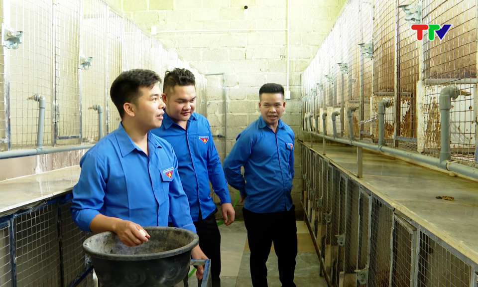 Thanh ni&ecirc;n &ndash; Lực lượng n&ograve;ng cốt ph&aacute;t triển kinh tế n&ocirc;ng th&ocirc;n.