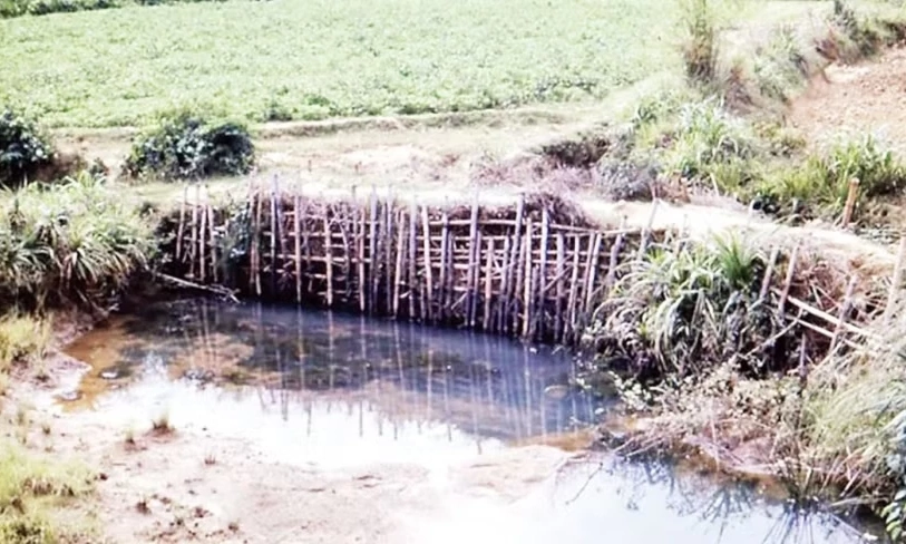 Khoanh v&ugrave;ng t&igrave;m mộ tập thể liệt sĩ