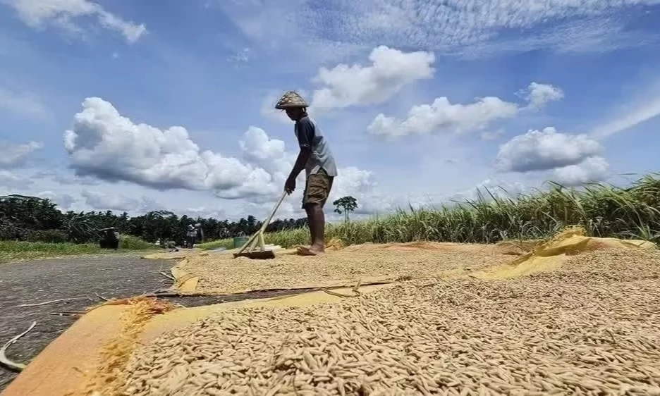 &Aacute;p lực về t&agrave;i ch&iacute;nh kh&iacute; hậu