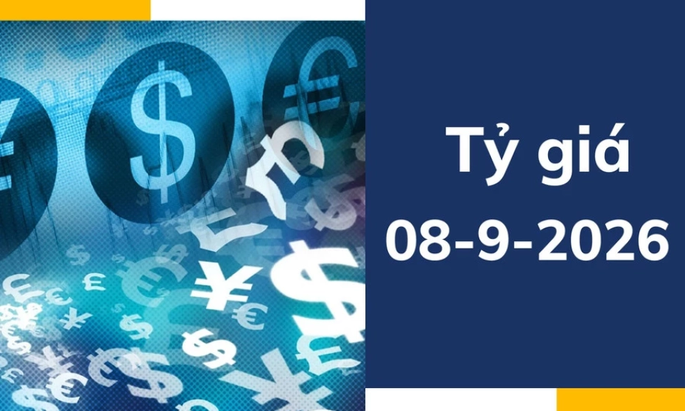 Tỷ gi&aacute; USD ng&agrave;y 8-9: Giảm s&acirc;u