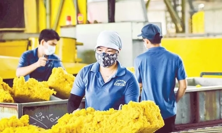 Những quy định đ&aacute;ng ch&uacute; &yacute; về bảo hiểm x&atilde; hội, bảo hiểm y tế từ th&aacute;ng 9/2026