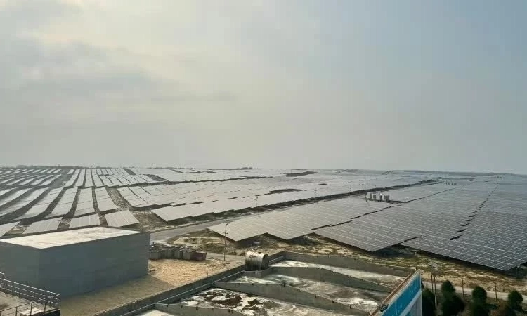 Bảo đảm sinh kế, hỗ trợ t&aacute;i định cư tại dự &aacute;n điện hạt nh&acirc;n