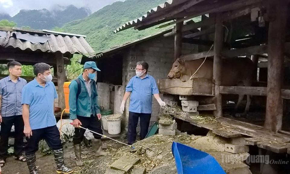 Chủ động ph&ograve;ng bệnh cho đ&agrave;n vật nu&ocirc;i