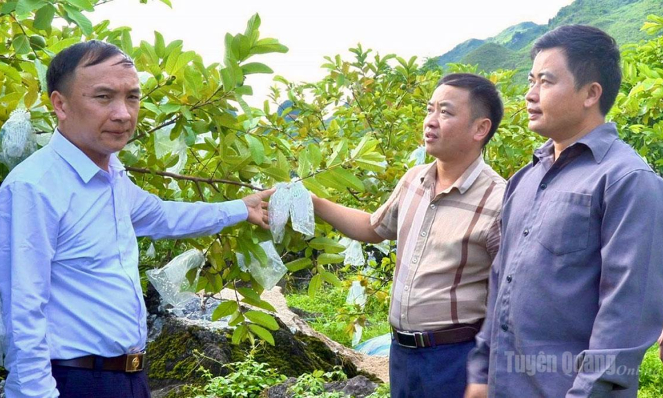 L&ugrave;ng T&aacute;m ph&aacute;t triển n&ocirc;ng nghiệp h&agrave;ng h&oacute;a