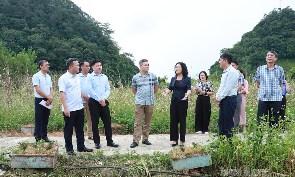 Ph&oacute; Chủ tịch UBND tỉnh Đỗ H&ugrave;ng Đức kiểm tra tiến độ chuẩn bị Lễ hội hoa Tam gi&aacute;c mạch tại x&atilde; Minh T&acirc;n, Quản Bạ v&agrave; Y&ecirc;n Minh