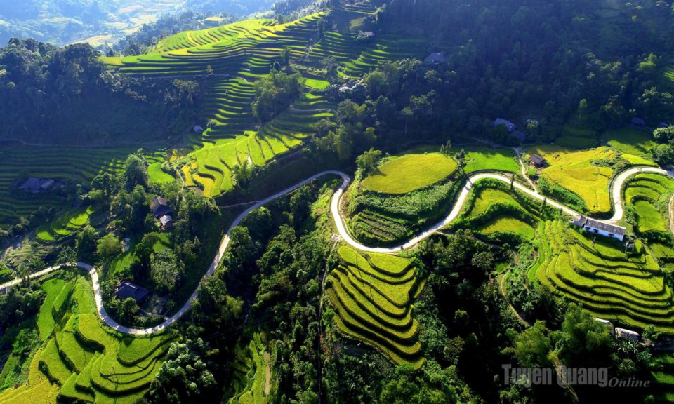 M&ugrave;a v&agrave;ng vẫy gọi