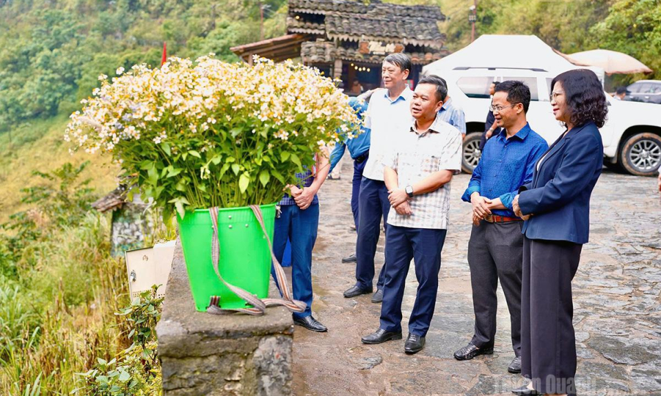 Ph&aacute;t huy gi&aacute; trị hoa Tam gi&aacute;c mạch gắn với văn h&oacute;a, cảnh quan v&agrave; c&aacute;c sản phẩm du lịch đặc trưng