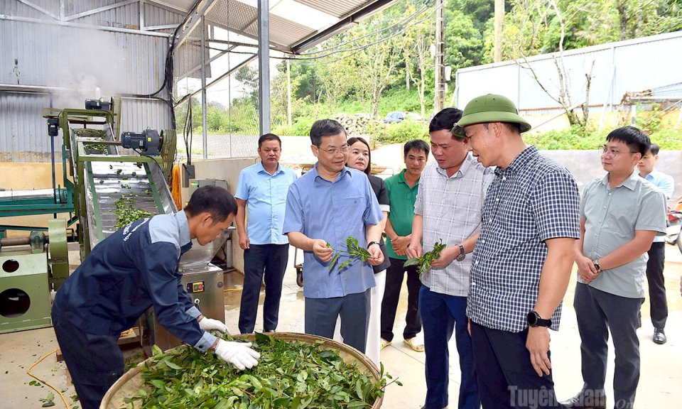Giải quyết kiến nghị của cử tri: Đi v&agrave;o thực chất, r&otilde; tr&aacute;ch nhiệm