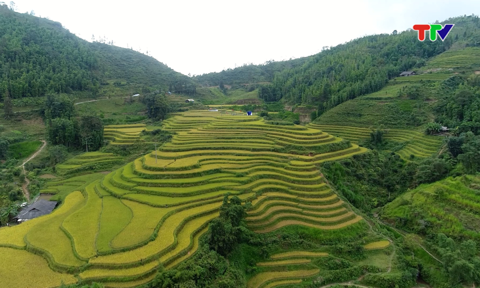 Để du lịch mang lại gi&aacute; trị bền vững.