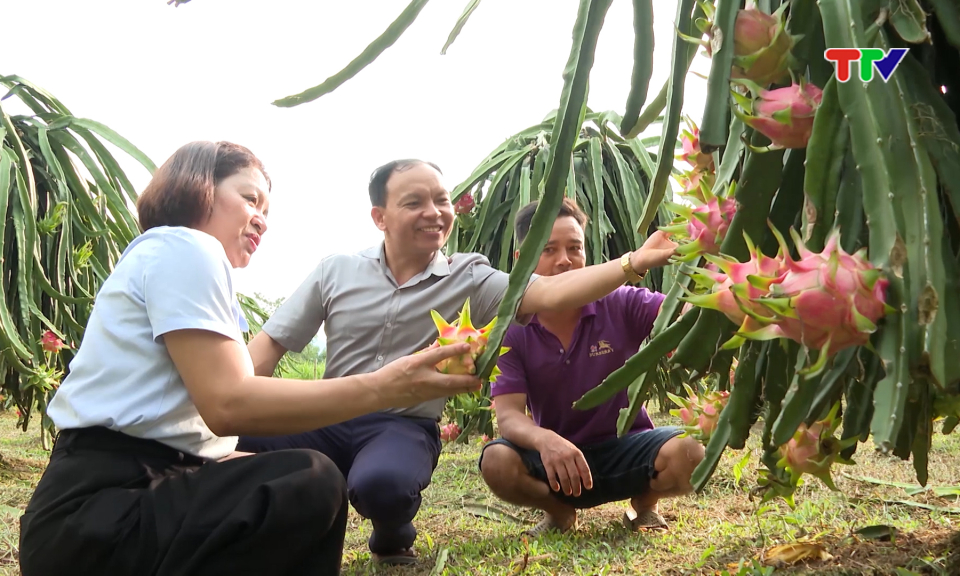 Giảm ngh&egrave;o từ lợi thế bằng những m&ocirc; h&igrave;nh hiệu quả.
