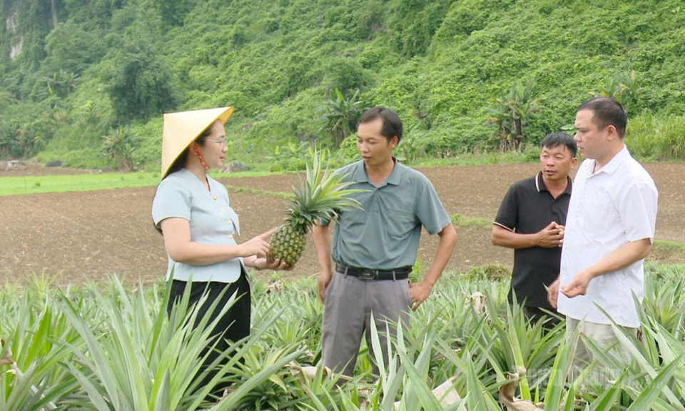 Minh Quang khơi nội lực giảm ngh&egrave;o bền vững