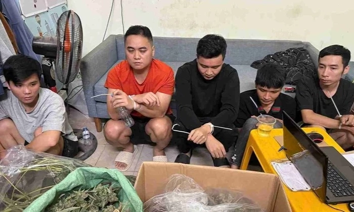 Nh&oacute;m đối tượng trồng, mua b&aacute;n tr&aacute;i ph&eacute;p gần 74 kg cần sa tại Hưng Y&ecirc;n