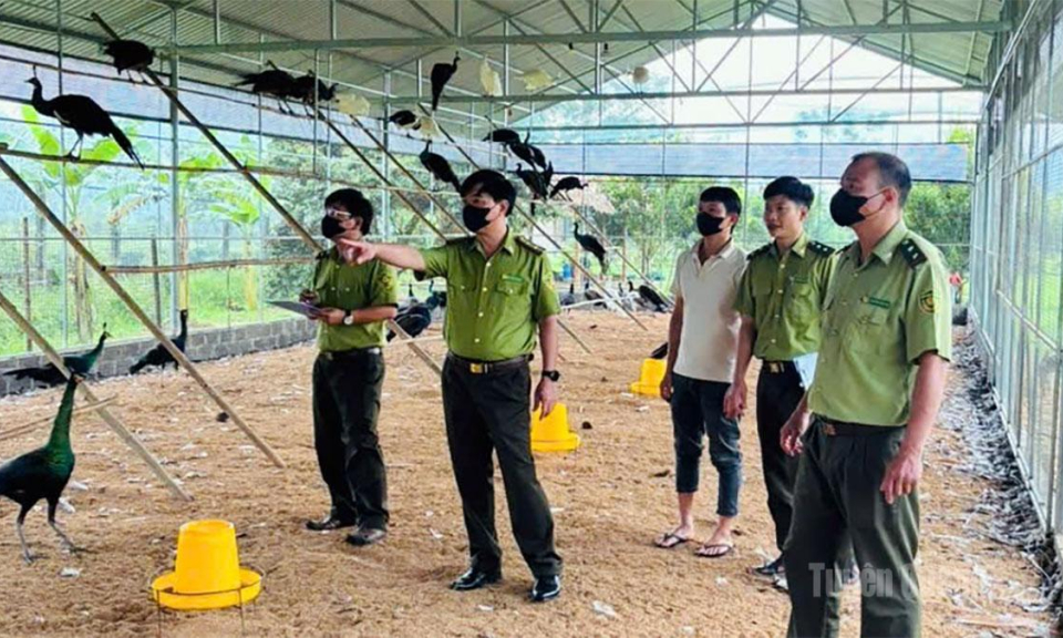 Bảo vệ động vật hoang d&atilde;