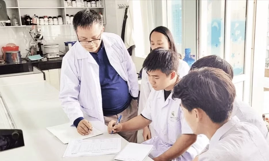 Giải ph&aacute;p hỗ trợ điều trị ung thư từ c&acirc;y gừng gi&oacute;