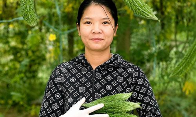 L&agrave;m gi&agrave;u từ m&ocirc; h&igrave;nh trồng rau m&agrave;u