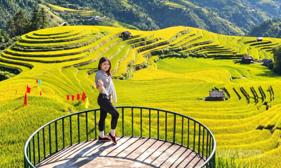 Những nấc thang m&acirc;y ở Hồ Thầu